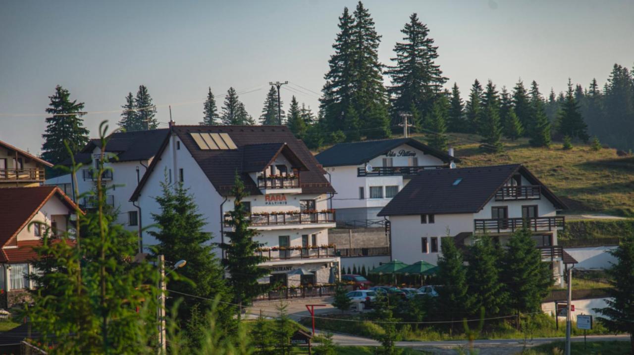 Pensiune Rara Păltiniş Exterior foto